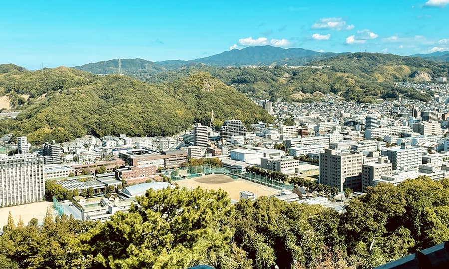 Compact city with academic and medical assets