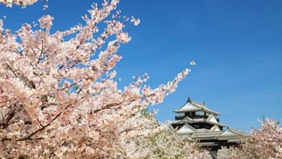 Matsuyama Castle