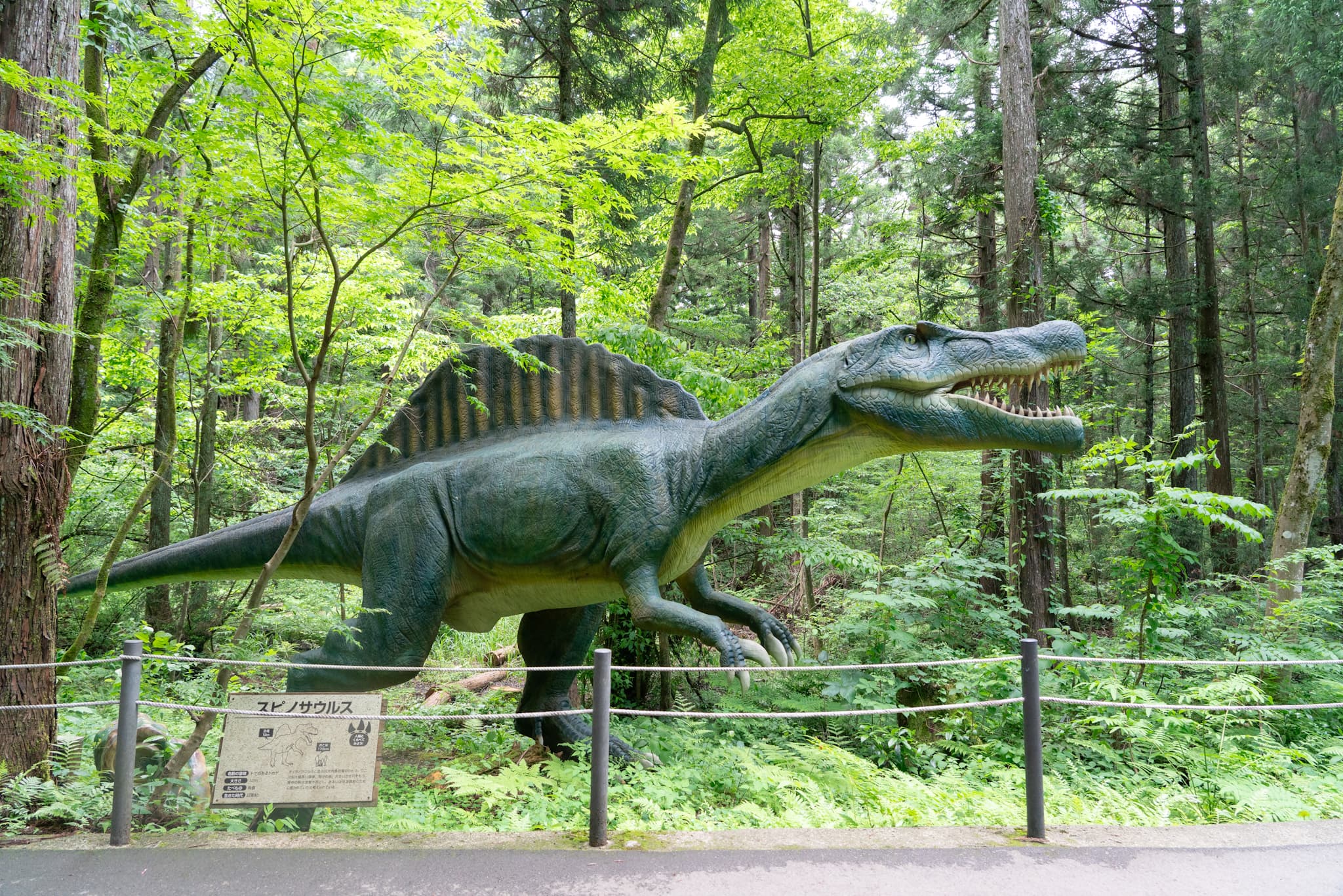 Fukui Prefectural Dinosaur Museum