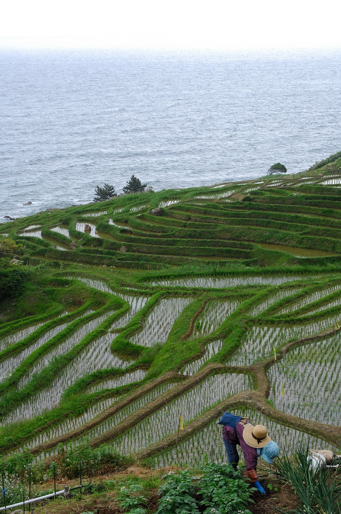 Noto Peninsula
