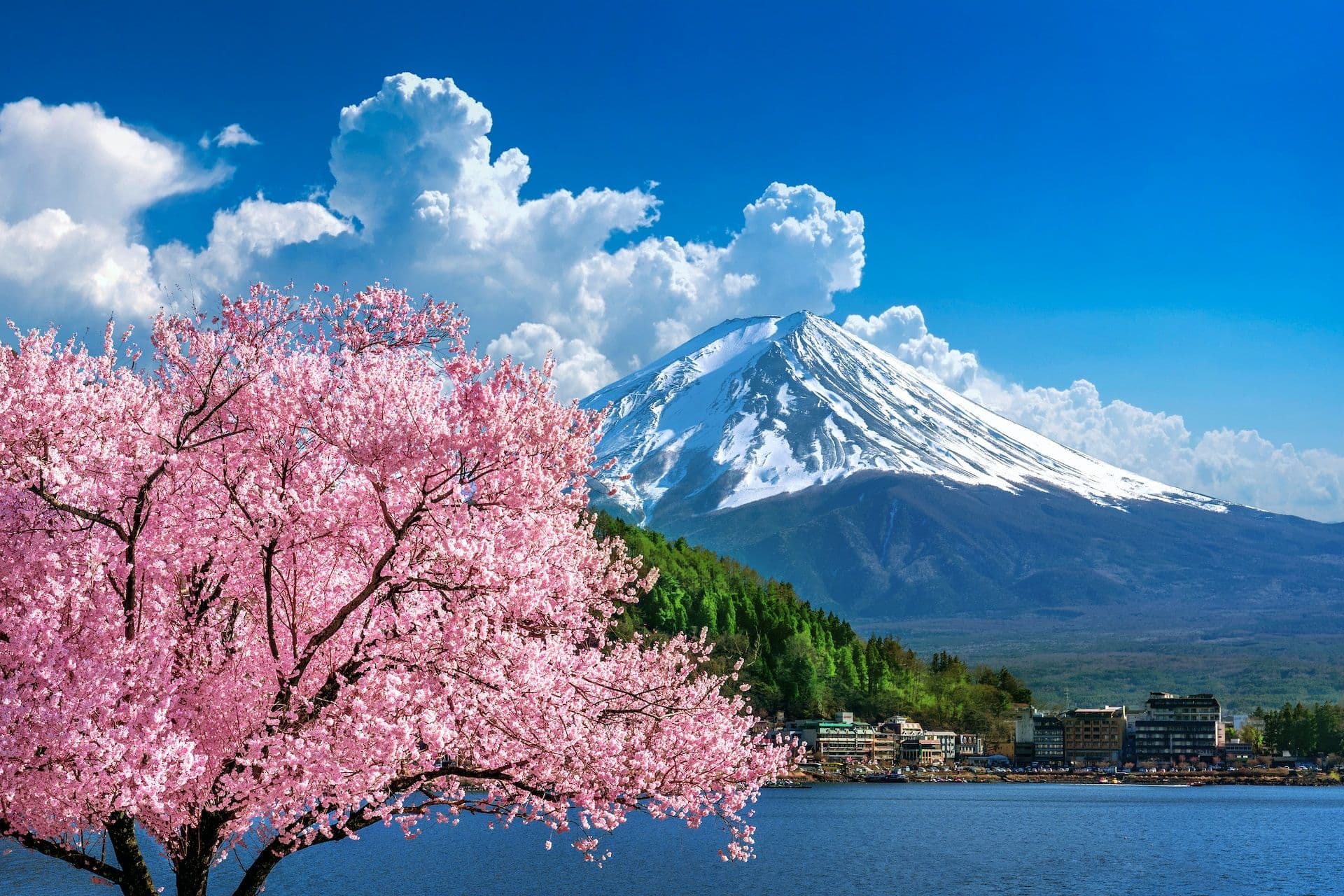 Shizuoka Prefecture hosts Startup contest with 18 million purse