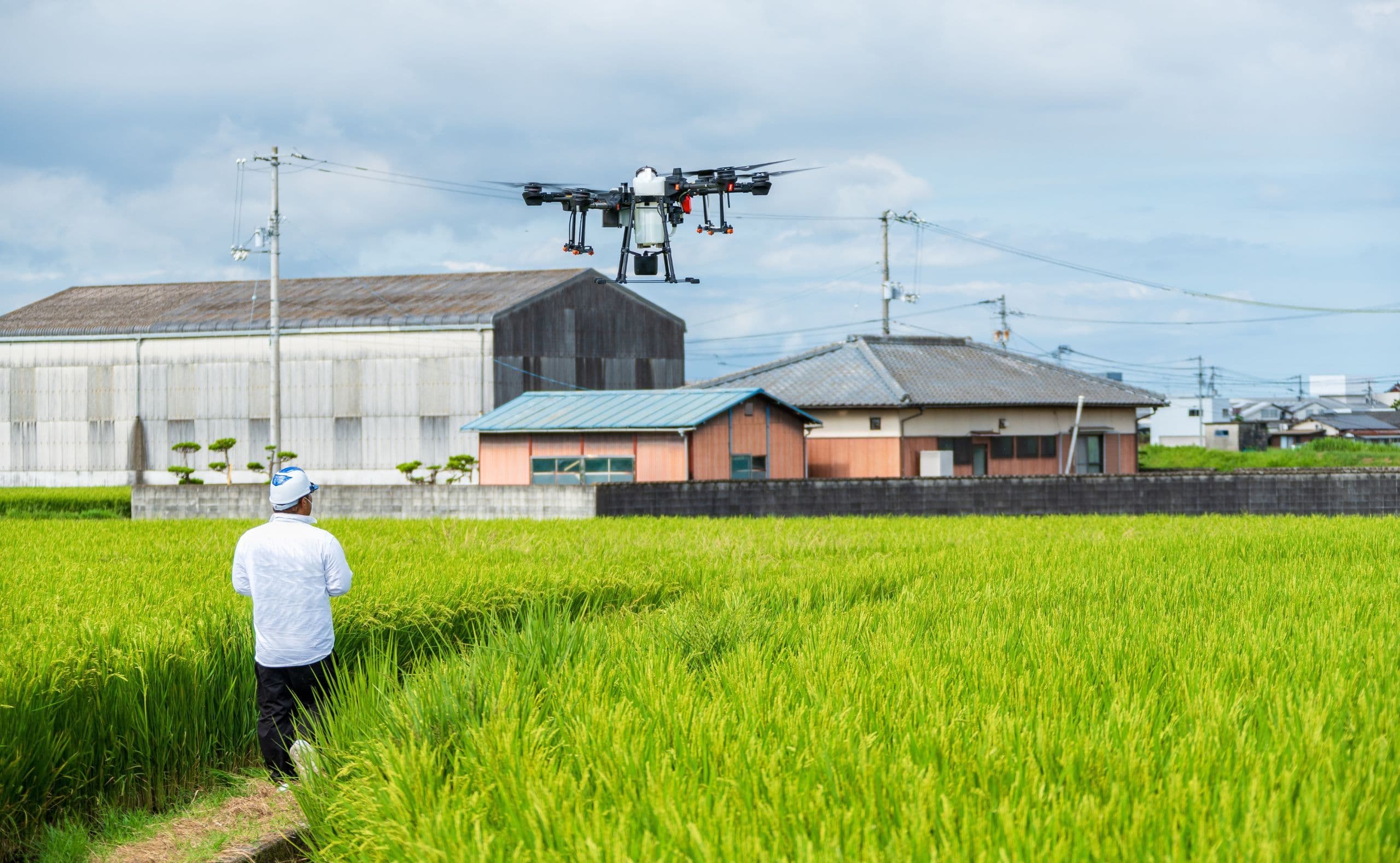 MAFF "Agricultural Research and Innovation Strategy 2026" Promotes Alternative Proteins Including Koji Fungi