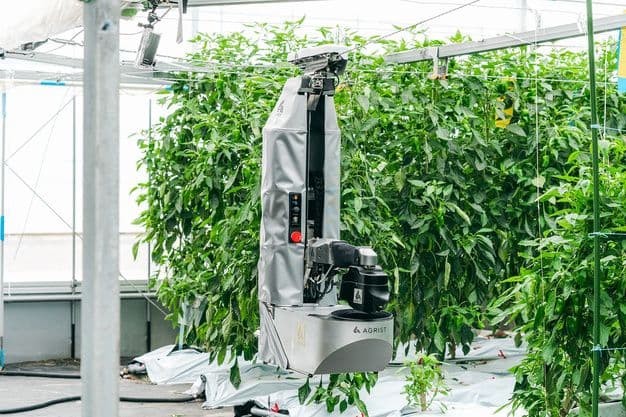AGRIST Launches AI Harvesting Robot for Round-the-Clock Operation
