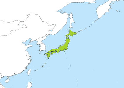 Japanese Companies' Overseas Bases Reach 75,531, with Asia Accounting for 70%