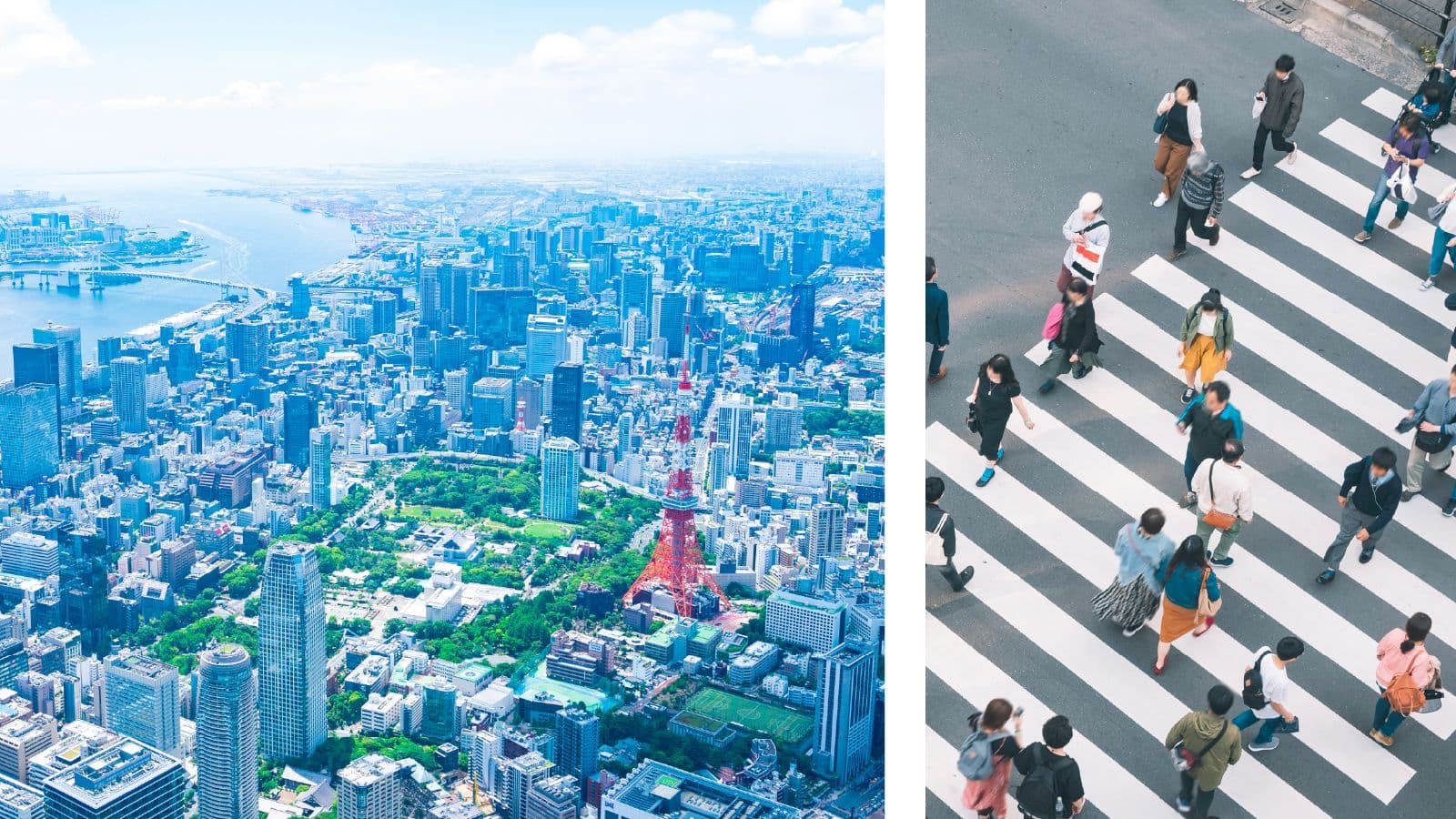 Venture Capital in Japan: Roles, Realities, and Strategic Considerations