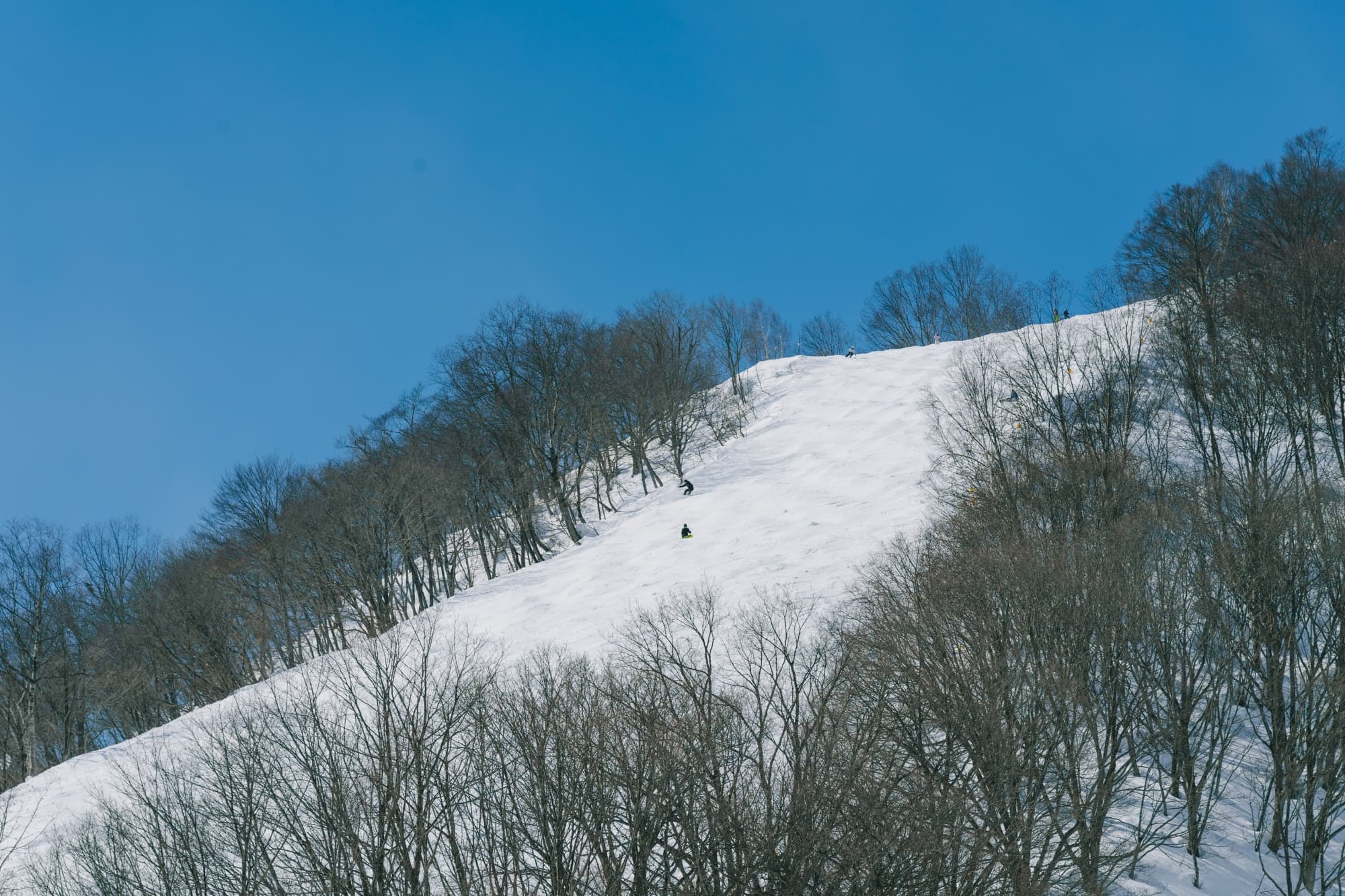 Hakuba