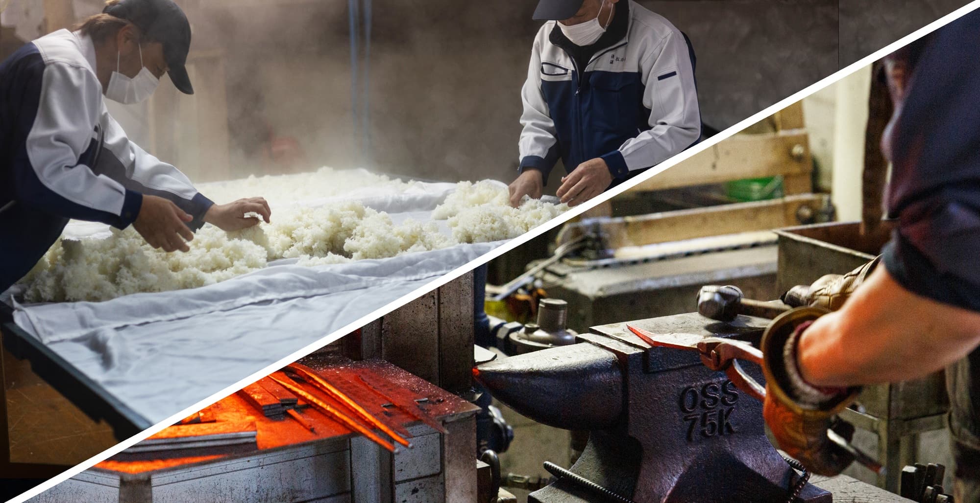 An industrial base where agriculture, food, and manufacturing coexist