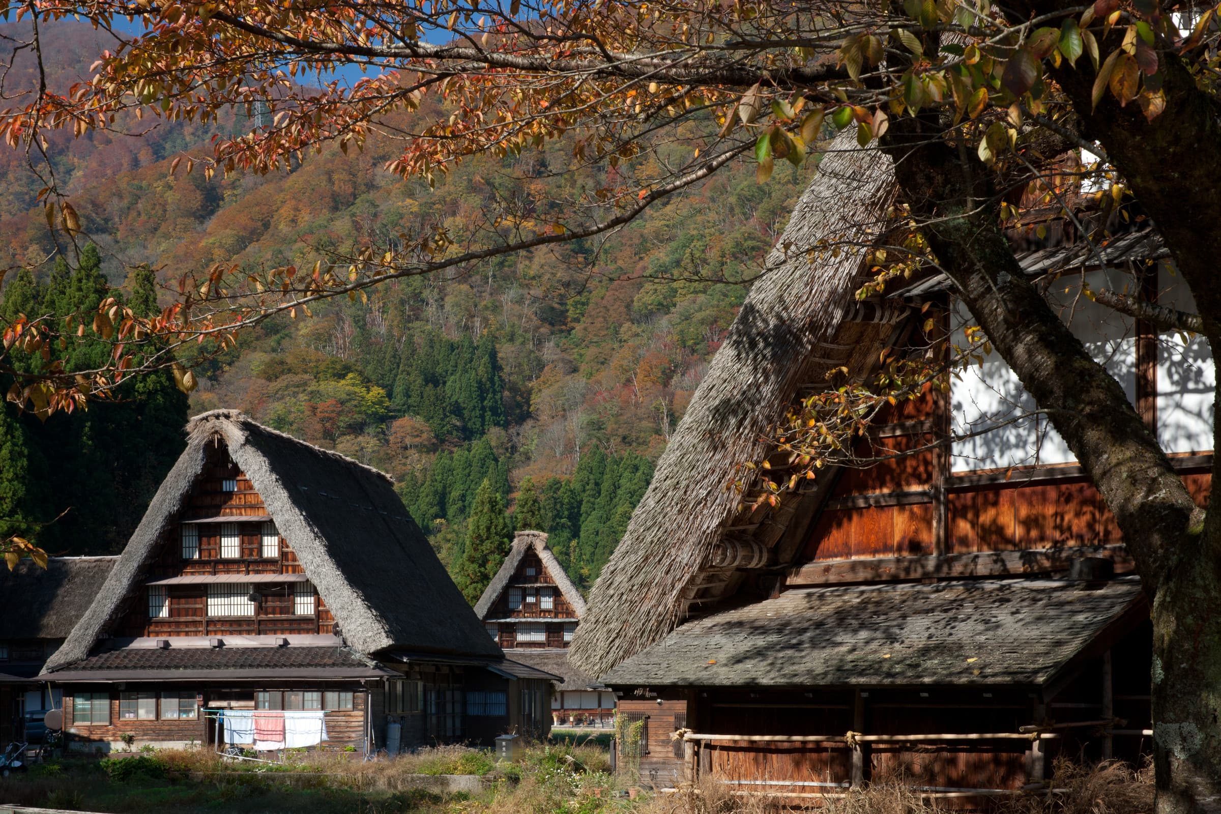 Gokayama Gasshō-Zukuri Villages