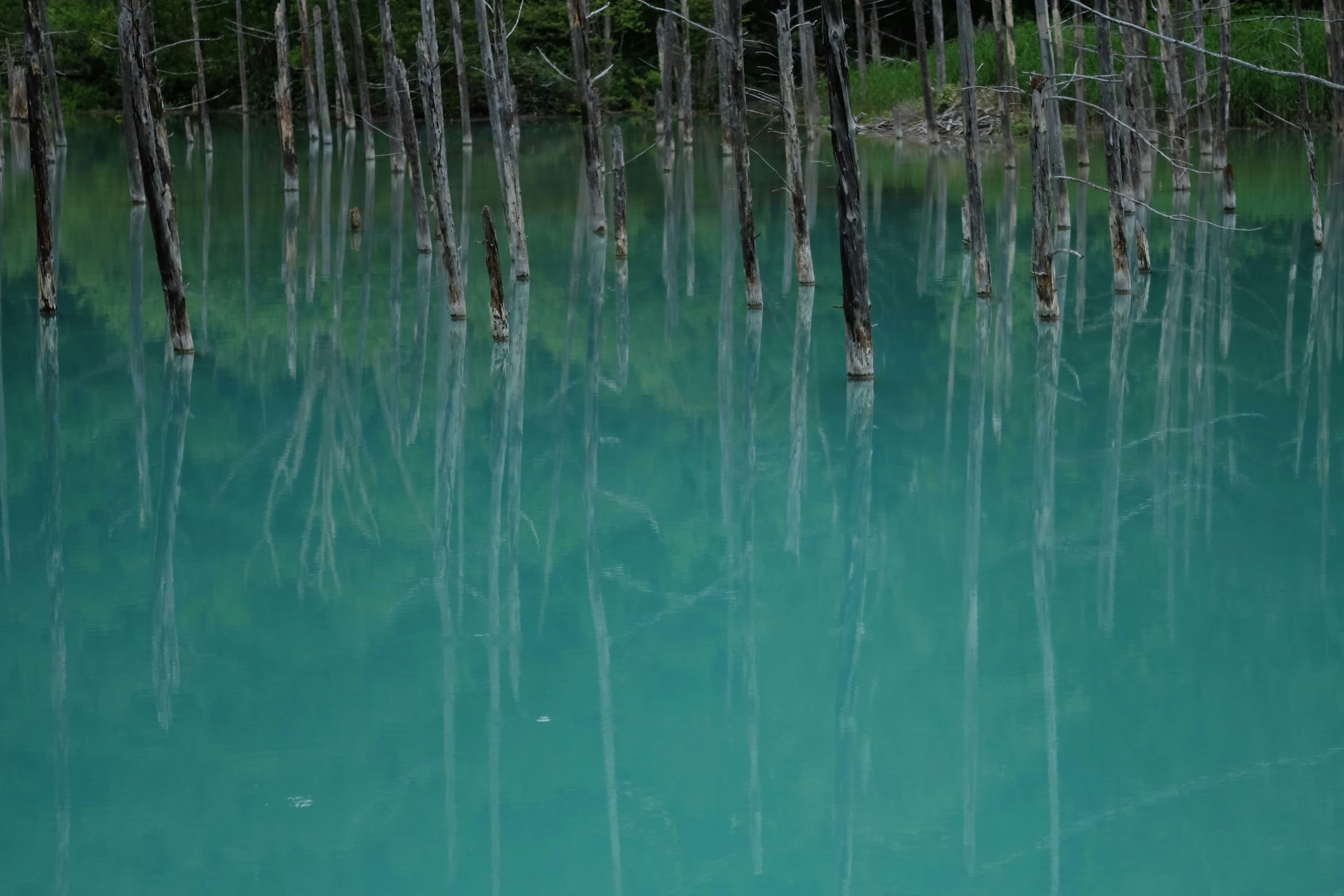 Blue Pond