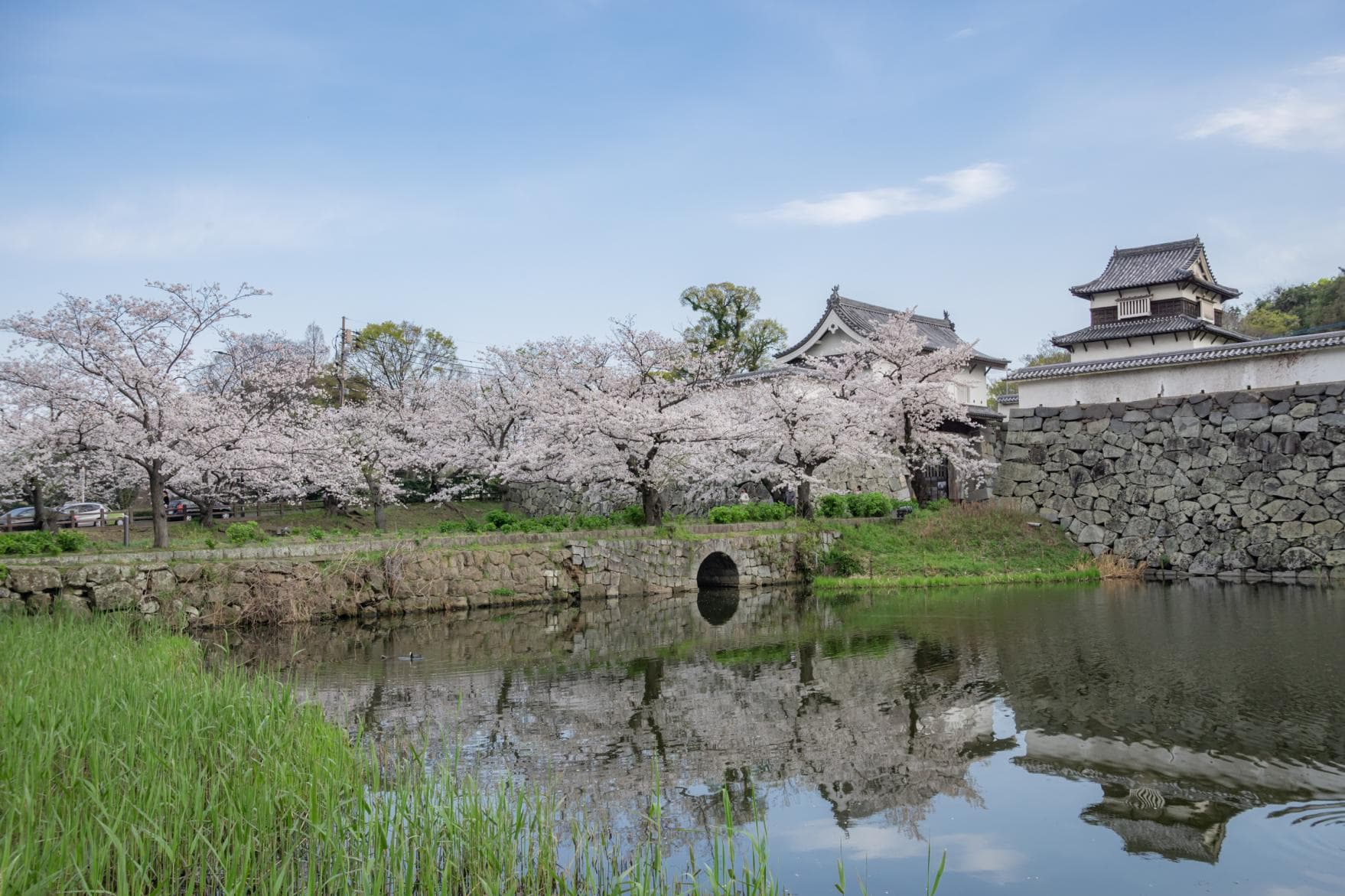 Fukuoka Castle (Maizuru Park)