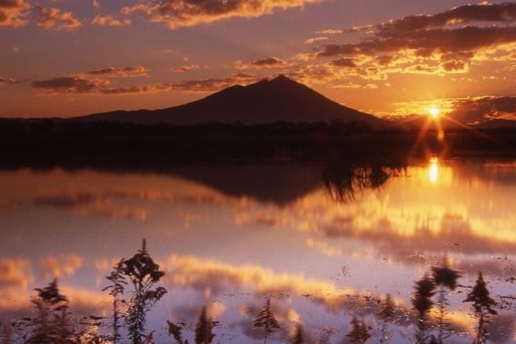 An environment that combines nature and convenience