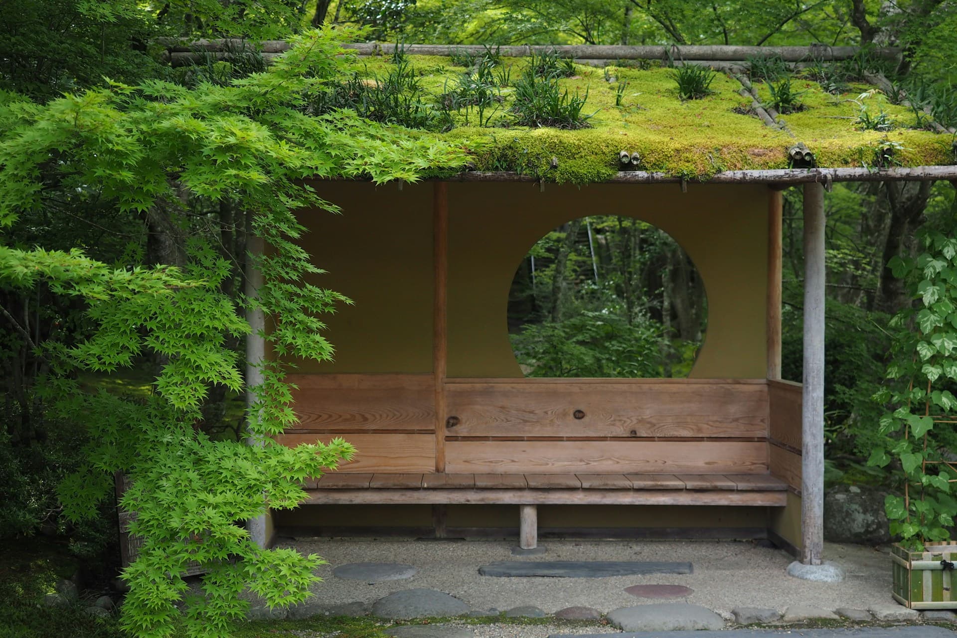 The ‘Forest City’ where nature and the city mingle