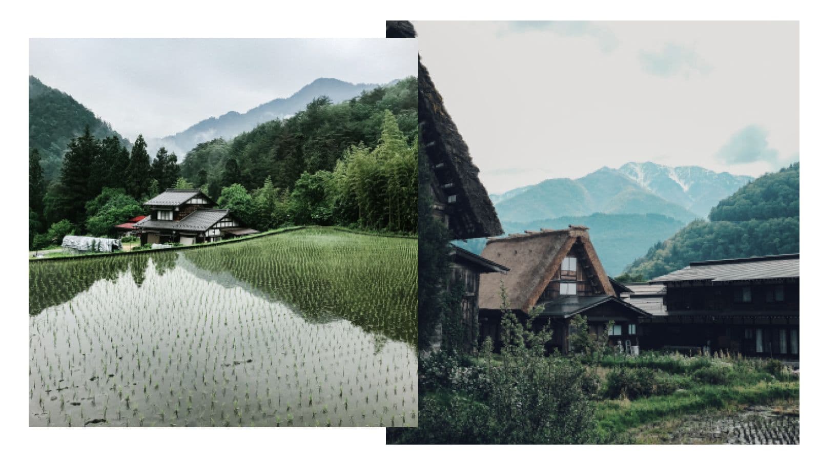 Bringing Abandoned Houses Back to Life