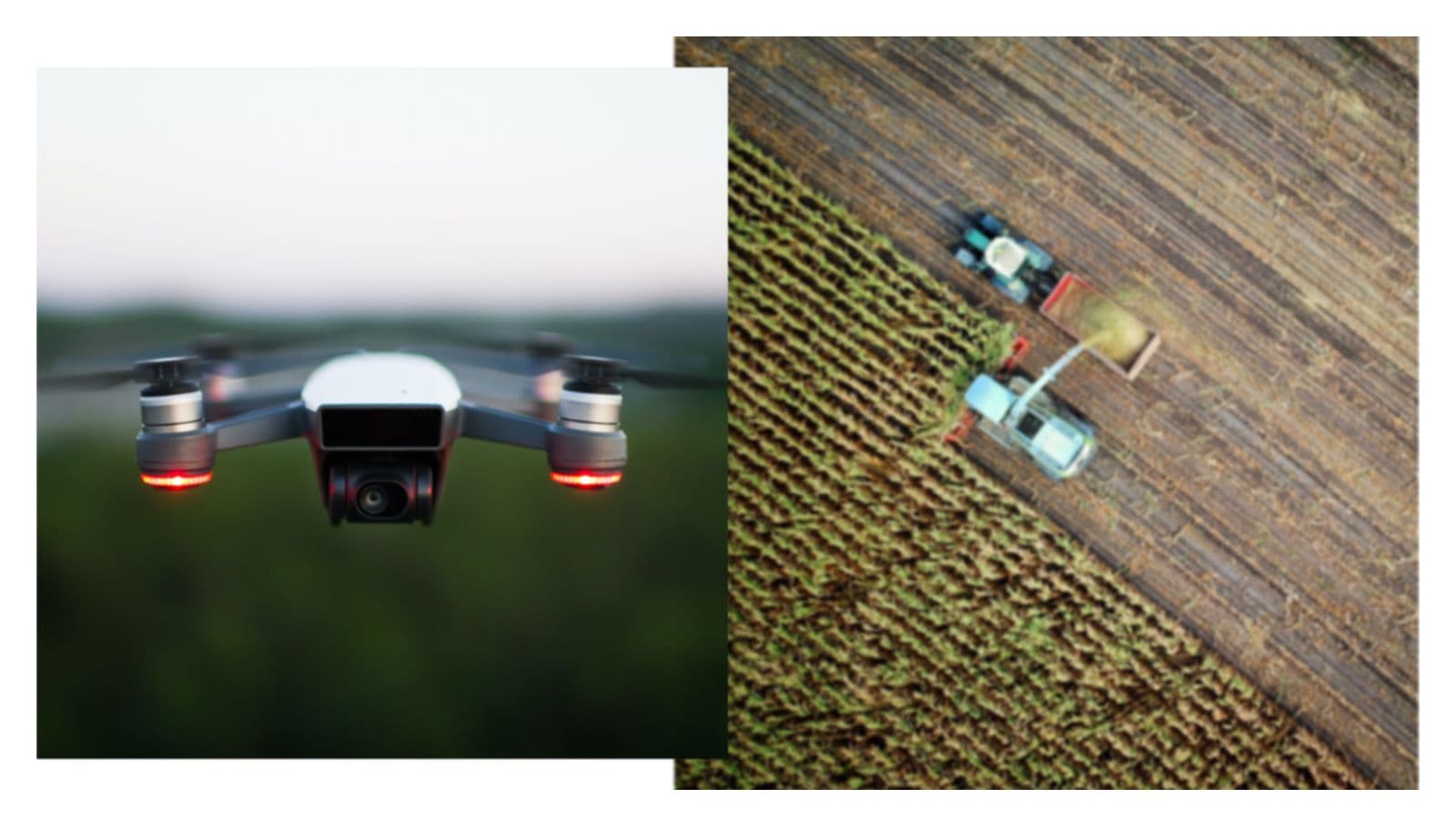 AgriTech startups shaping the future of Japanese agriculture