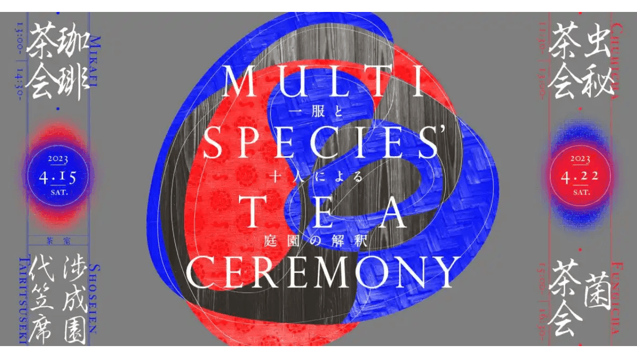 Multispecies’ Tea Ceremony | 1 cup of tea and 10 Perspectives