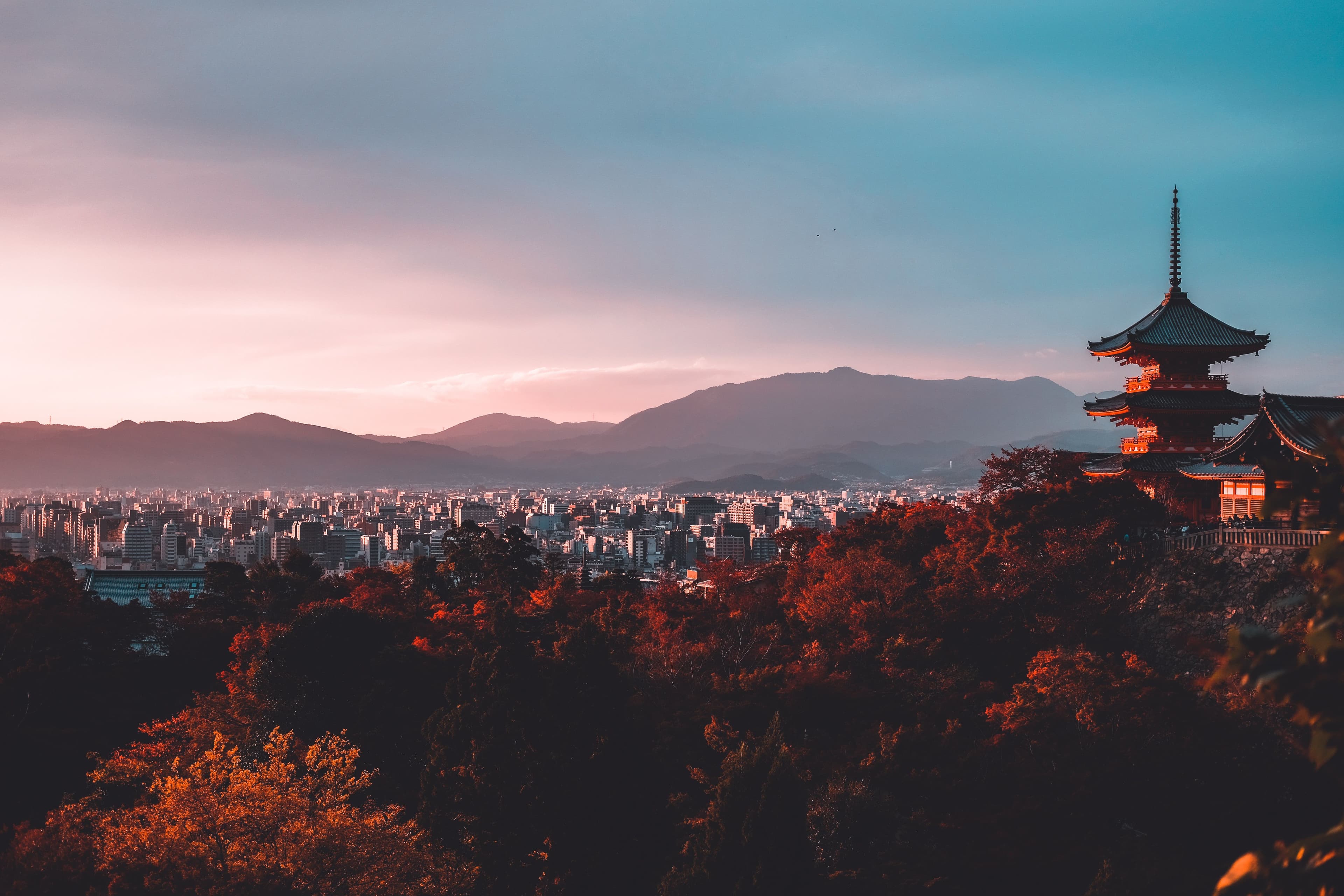 University selects domestic cloud system over AWS or Azure