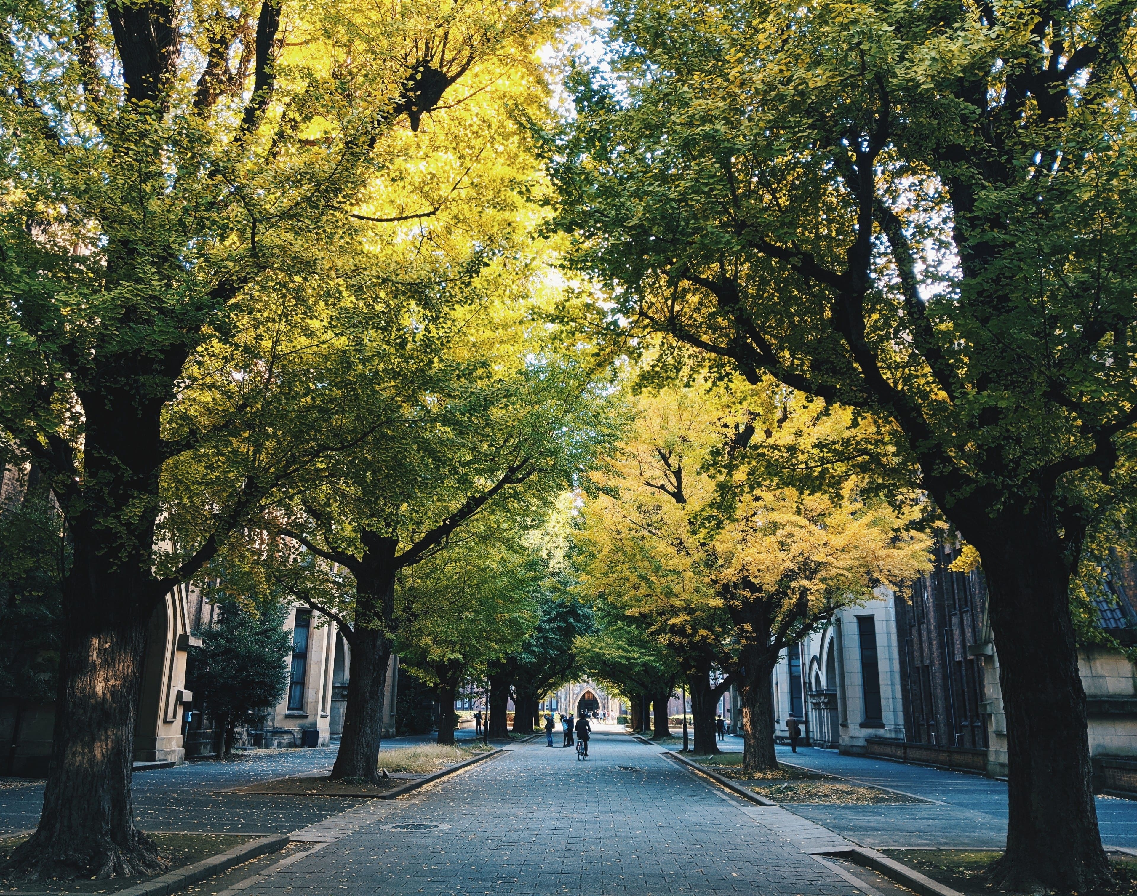 University of Tokyo launches "carve-out" support program