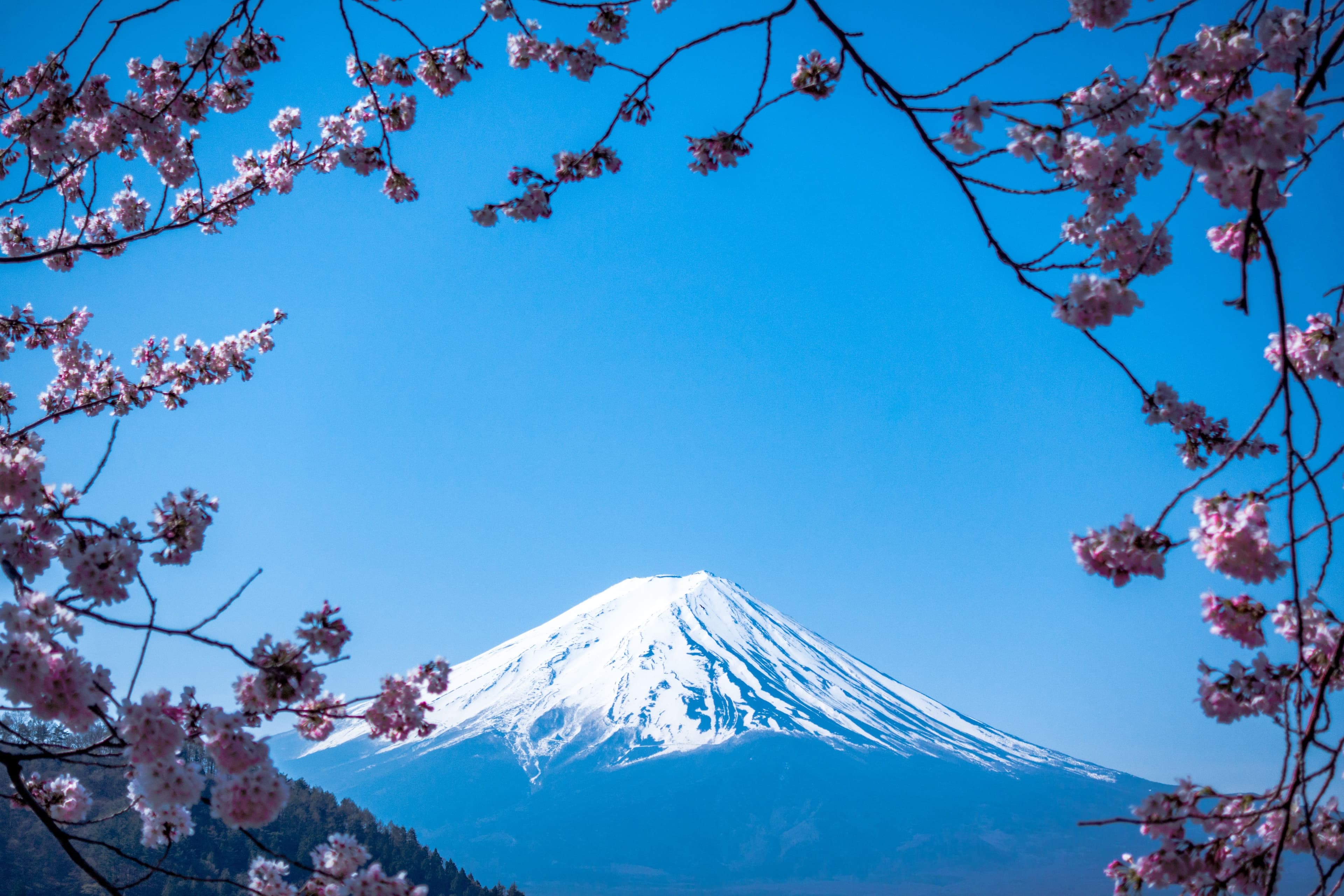 Japan's Ministry of Economy supports 30 impact-driven startups