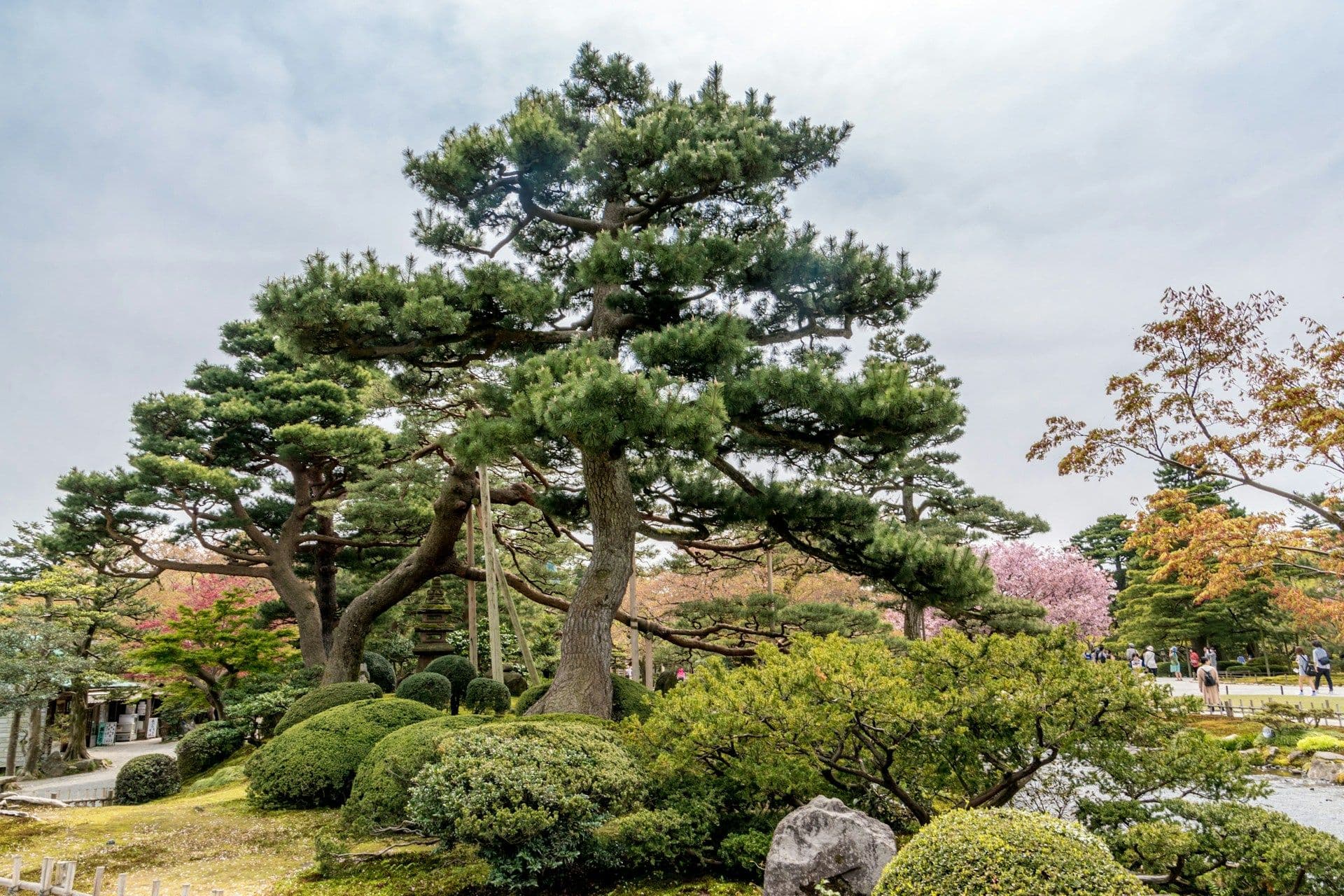 Kanazawa City builds new business facility