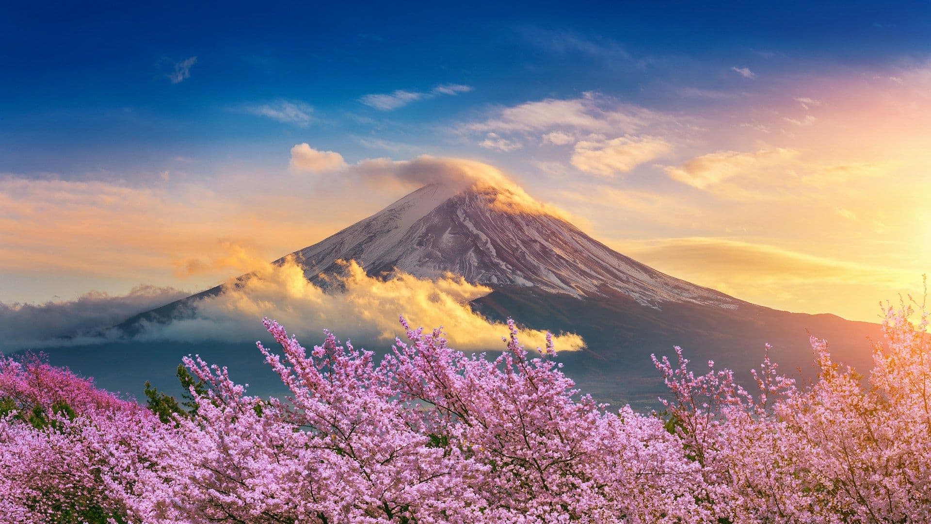 Japan leads world in CVC investments