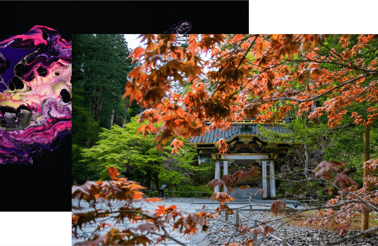Startup support expanded in Tochigi Prefecture