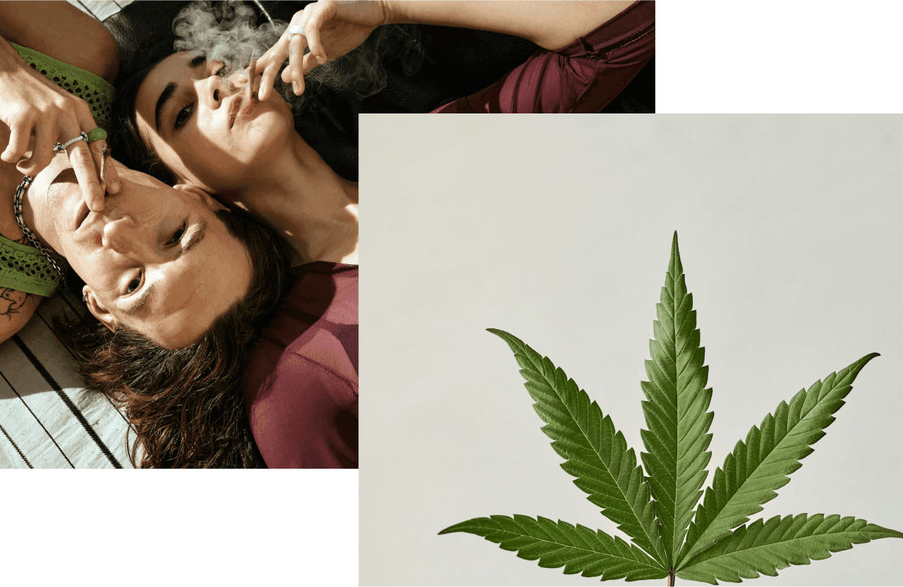 Business opportunities with the amendment of the Cannabis Control Law