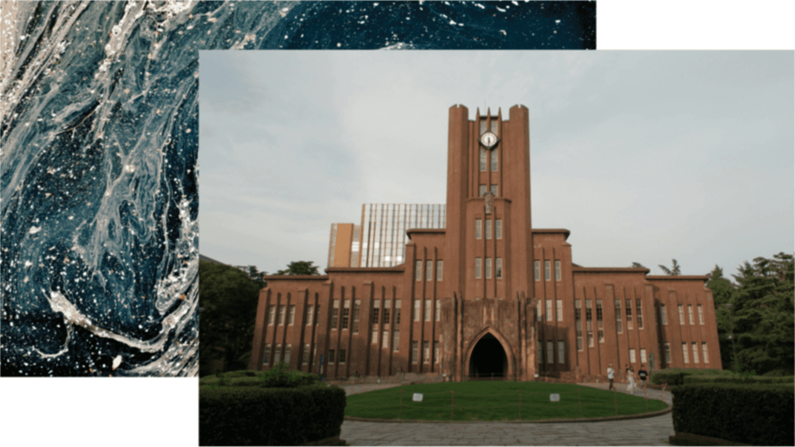 University support for startups