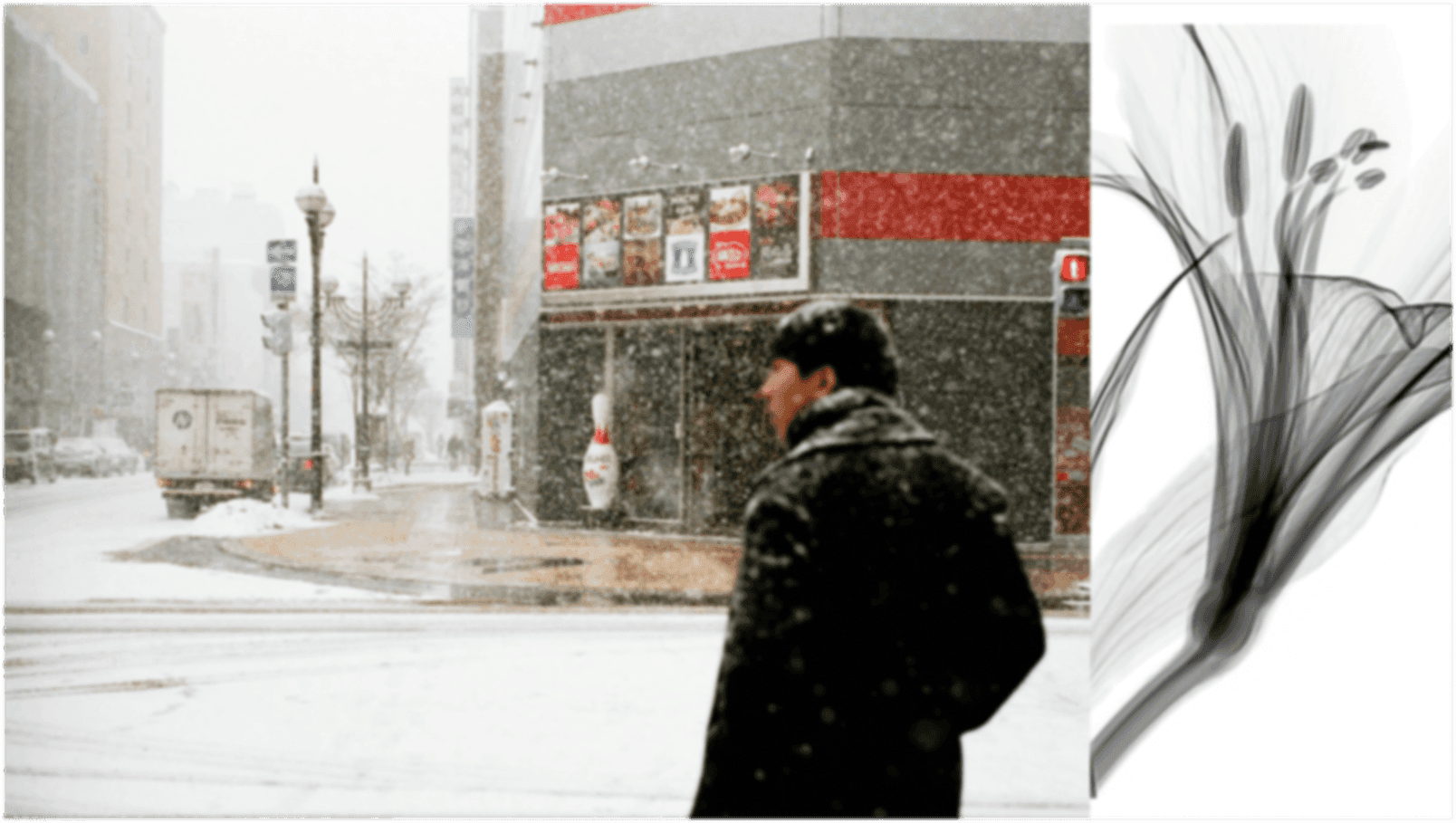 Deep Tech investment firm opens office in Sapporo