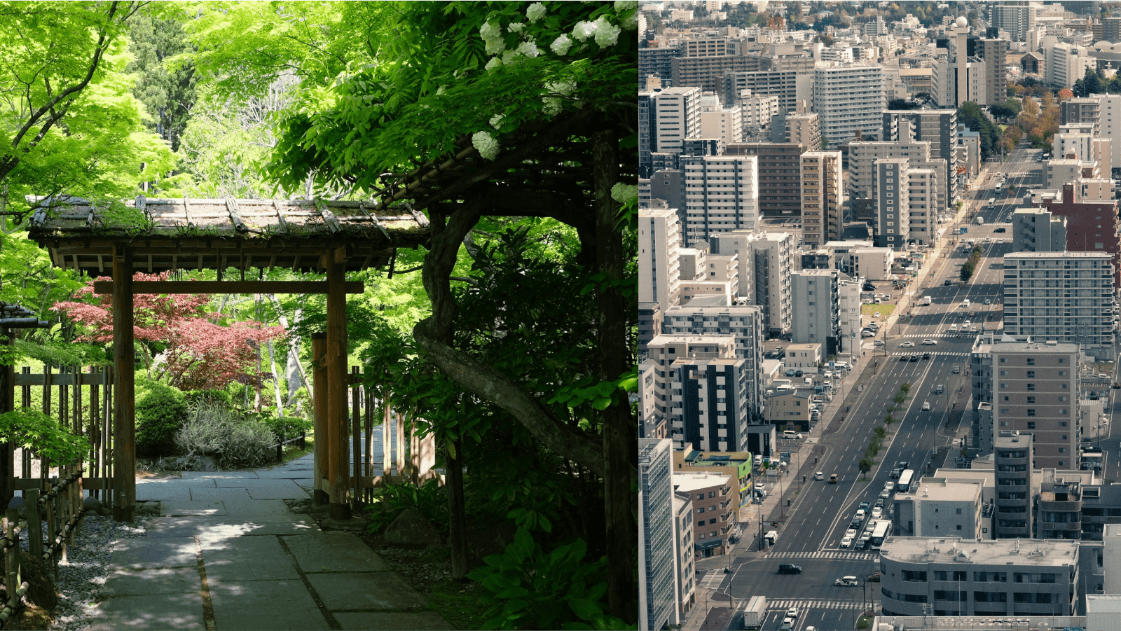 The Greenest City, Sendai
