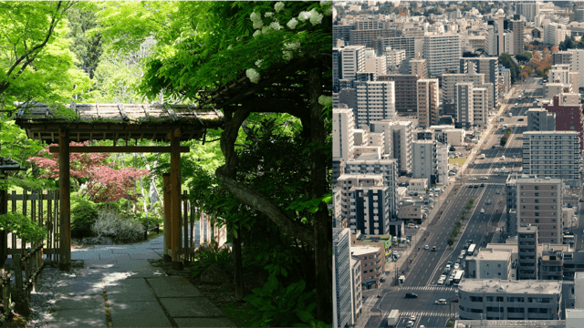 The Greenest City, Sendai
