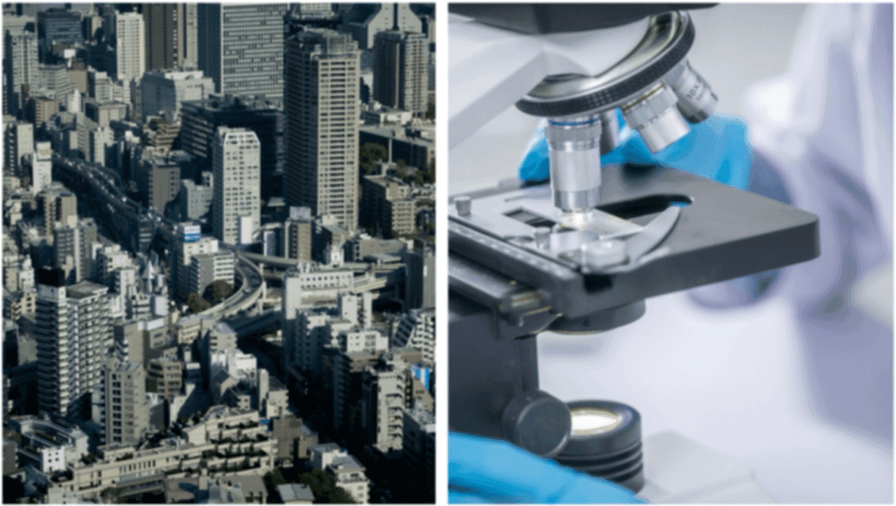 Tsukuba: city of science and technology