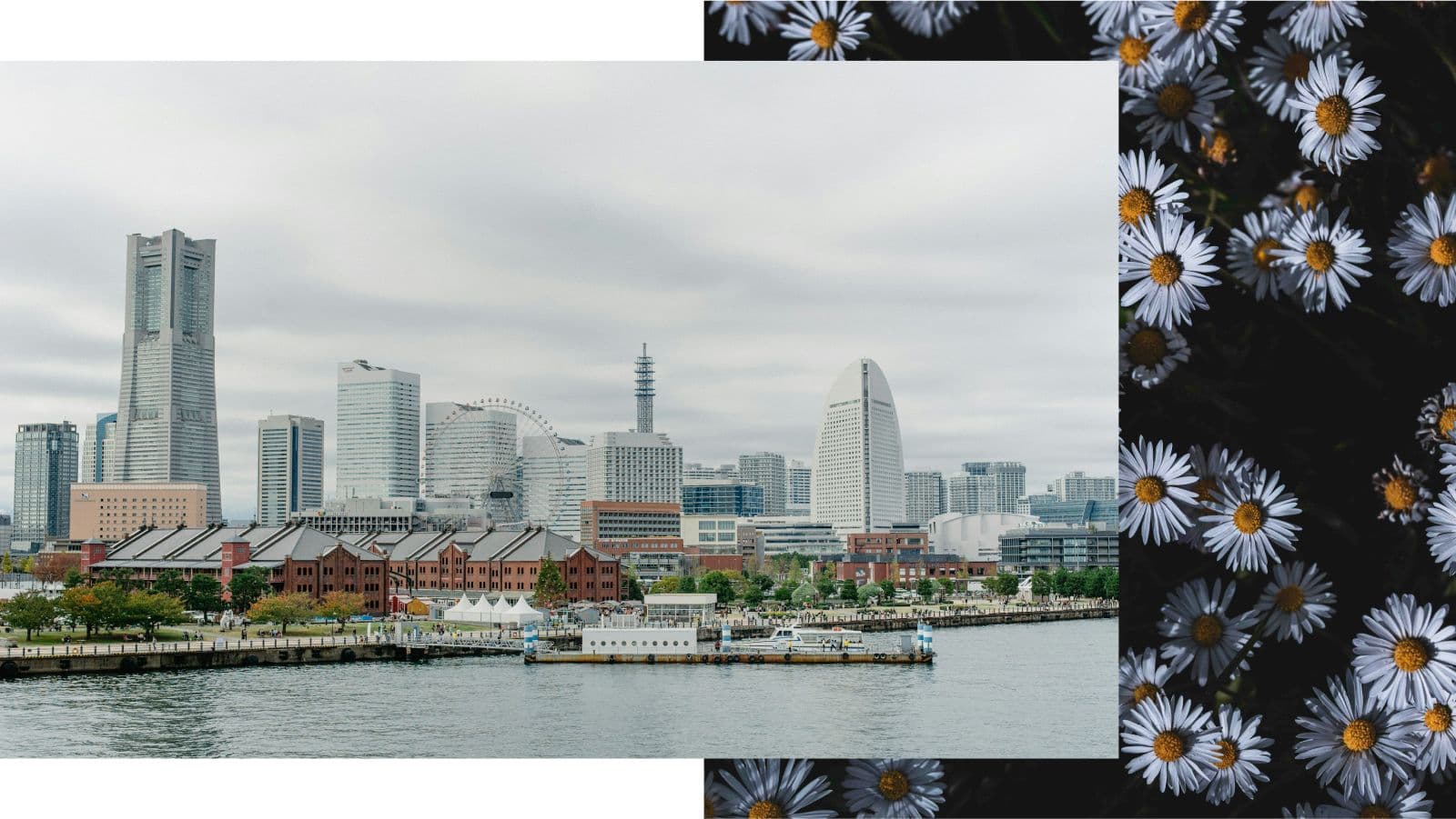 Startup Ecosystem in Yokohama City