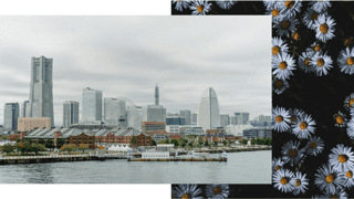 Startup Ecosystem in Yokohama City