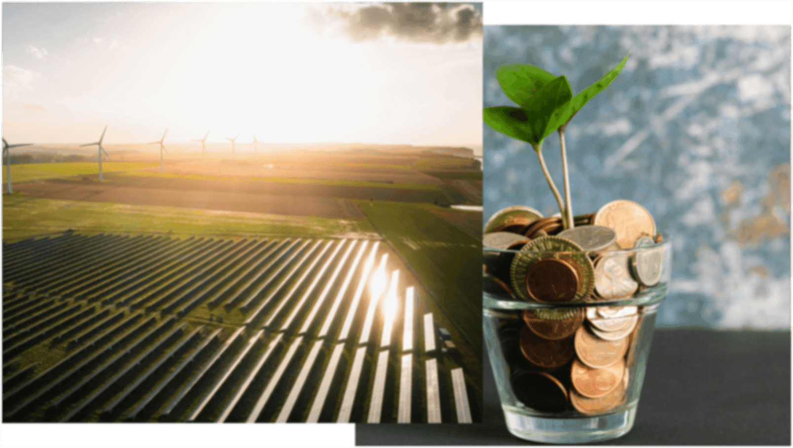 Tohoku Bank becomes first regional bank to join carbon credit consortium