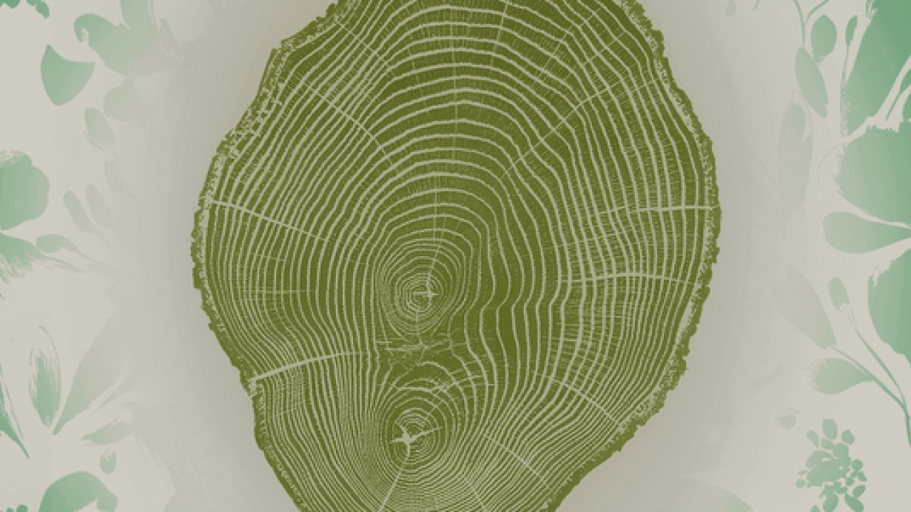 Biodiversity in Action – Turning Corporate Strategy into Tangible Impact