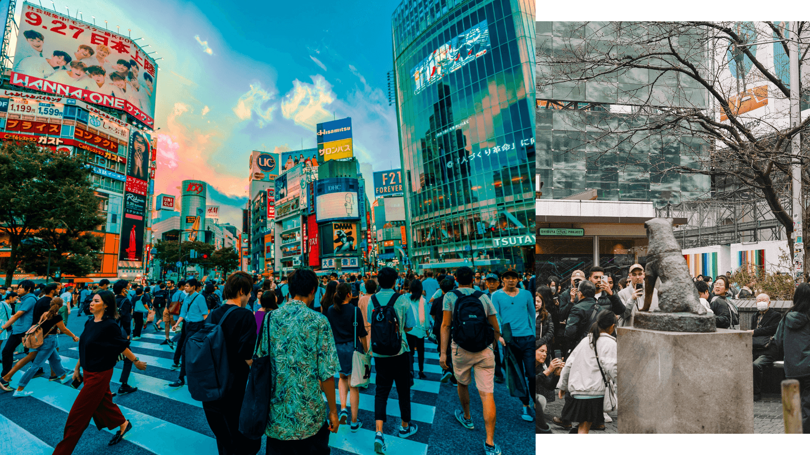 Shibuya: The Gateway to Tokyo's Startup Success