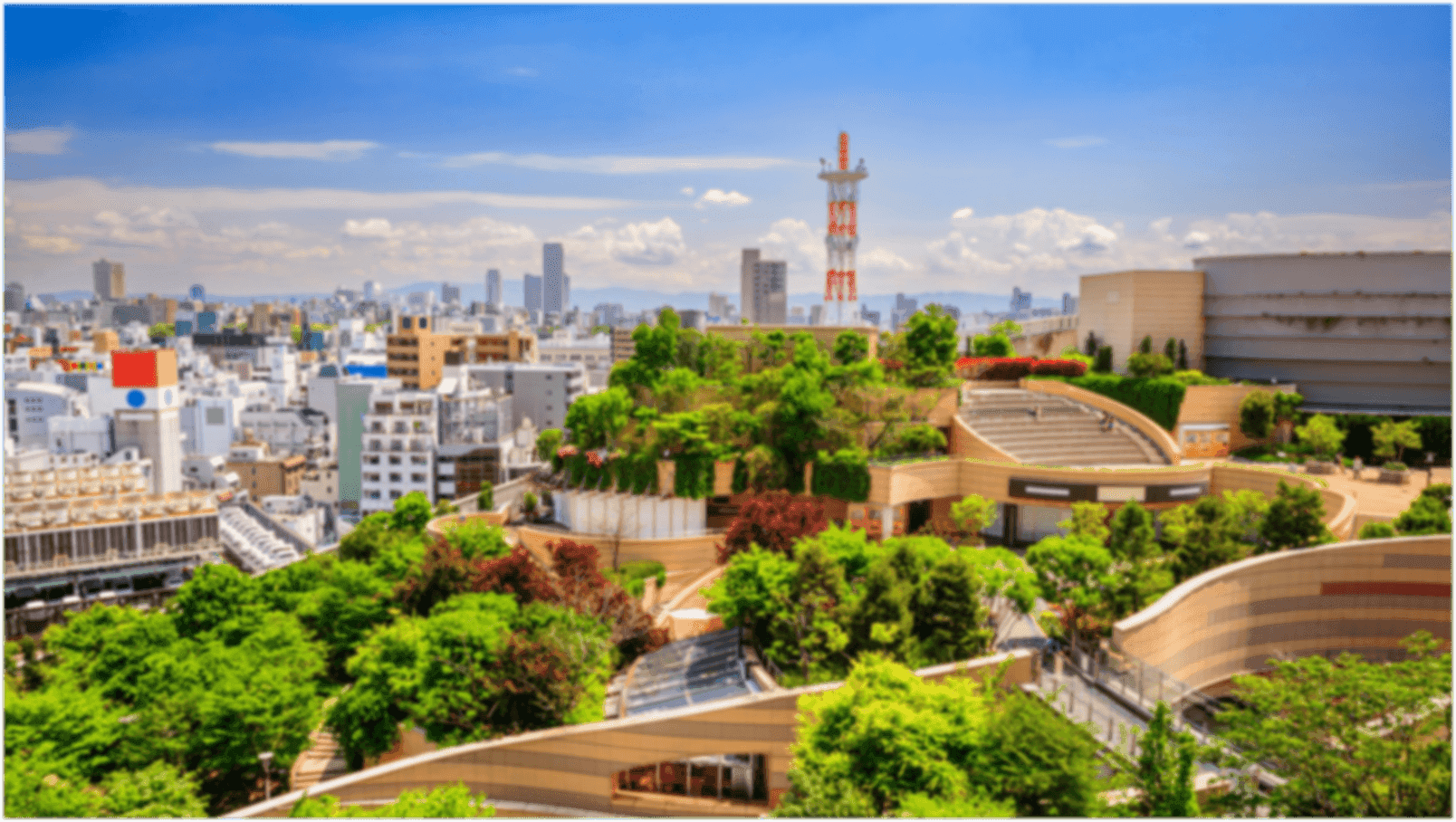 MUIC makes its first investment in OUGI, an tourist business for high-net-worth individuals