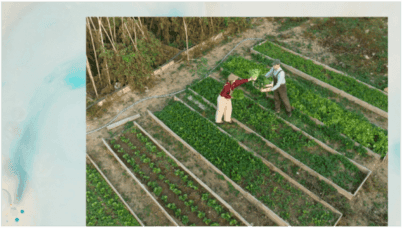 GREEN OFFSHORE supports small and medium farmers with smart agriculture