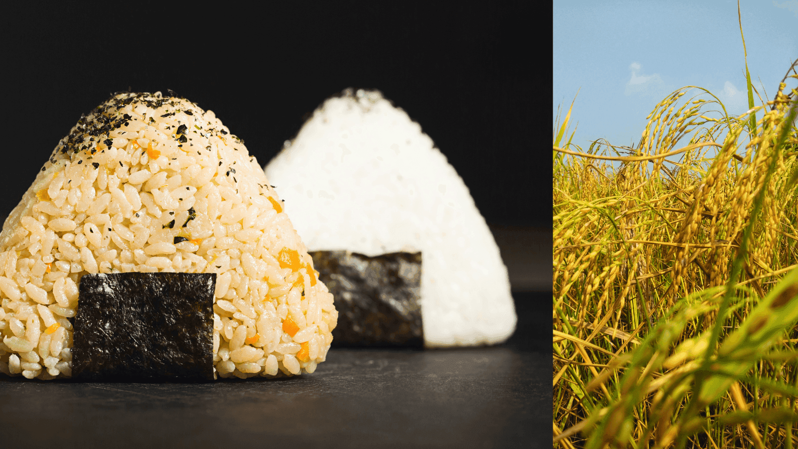 Japan's food self-sufficiency and agriculture-related startups
