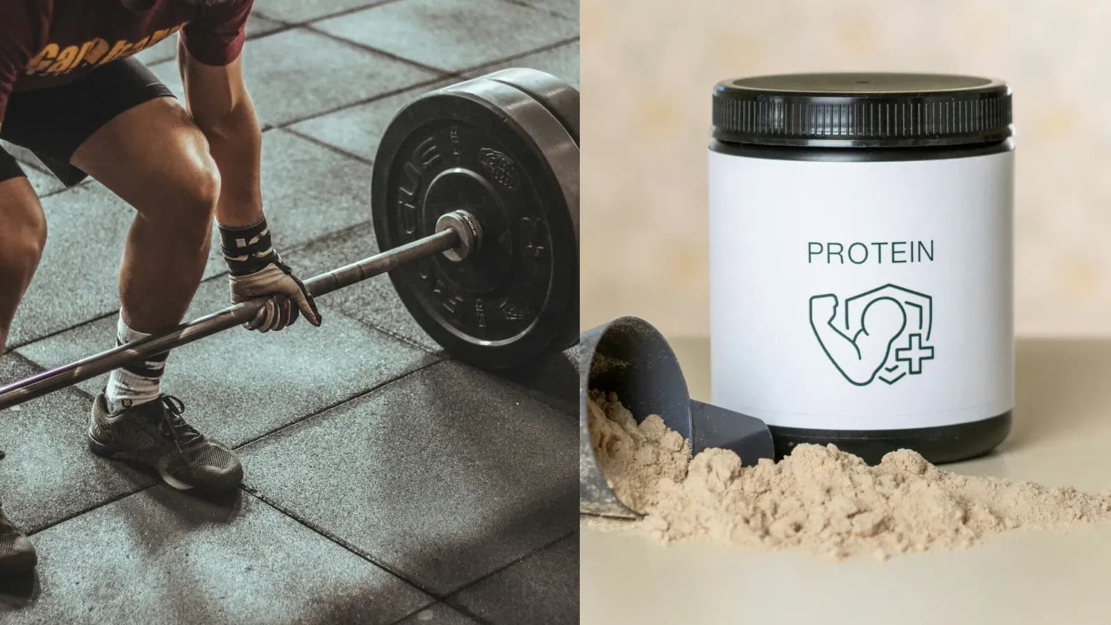 Fitness startups in Japan