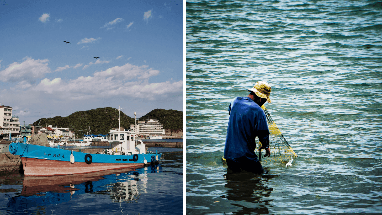 Japan's blue economy part 3: fishing