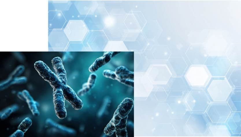 Four startups selected for phase 2 of J-StarX AI Medical Course