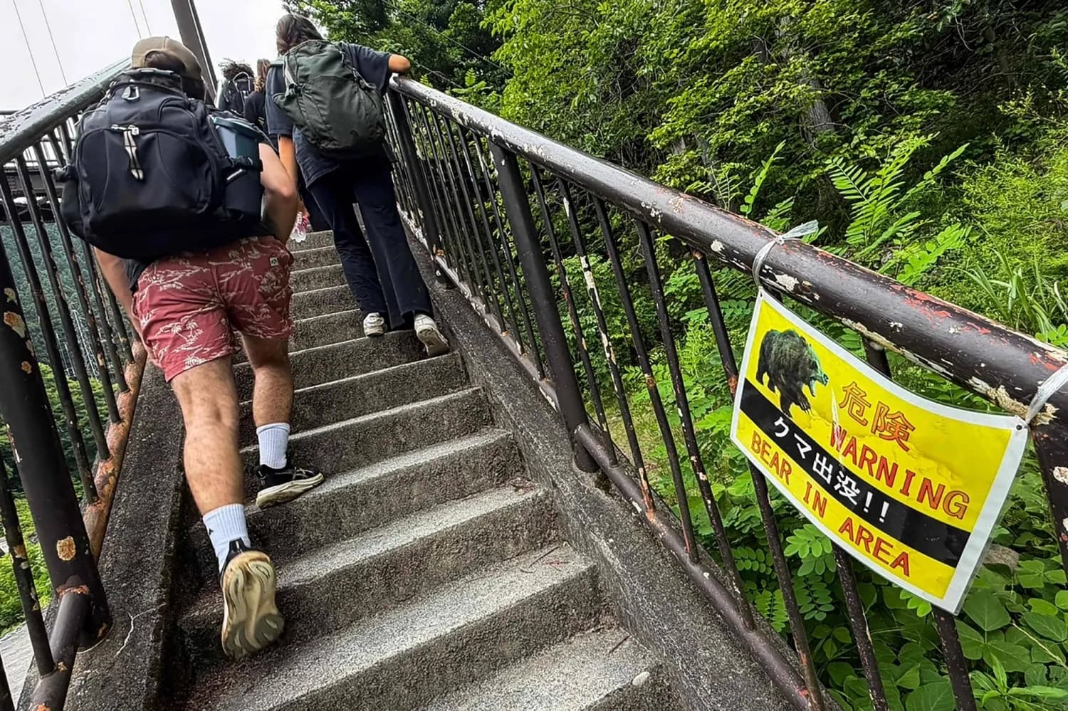 Tokyo Government to Work with Startups to Tackle Increase in Bear Encounters